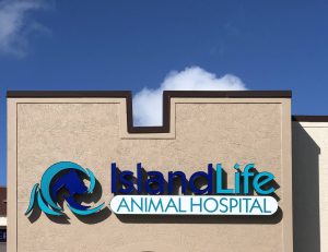 logo, island life animal hospital, veterinarian, st petersburg, st pete, beach, sand, about us, our story, family, clinic, owners, clearwater, florida, tierra verde, tampa, largo, indian shores, dog, dogs, cat, cats, animals, vet clinic