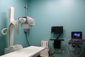 Veterinary Radiology, vet x-ray, veterinary x-ray, bowel, intestines, dog, cat, obstruction