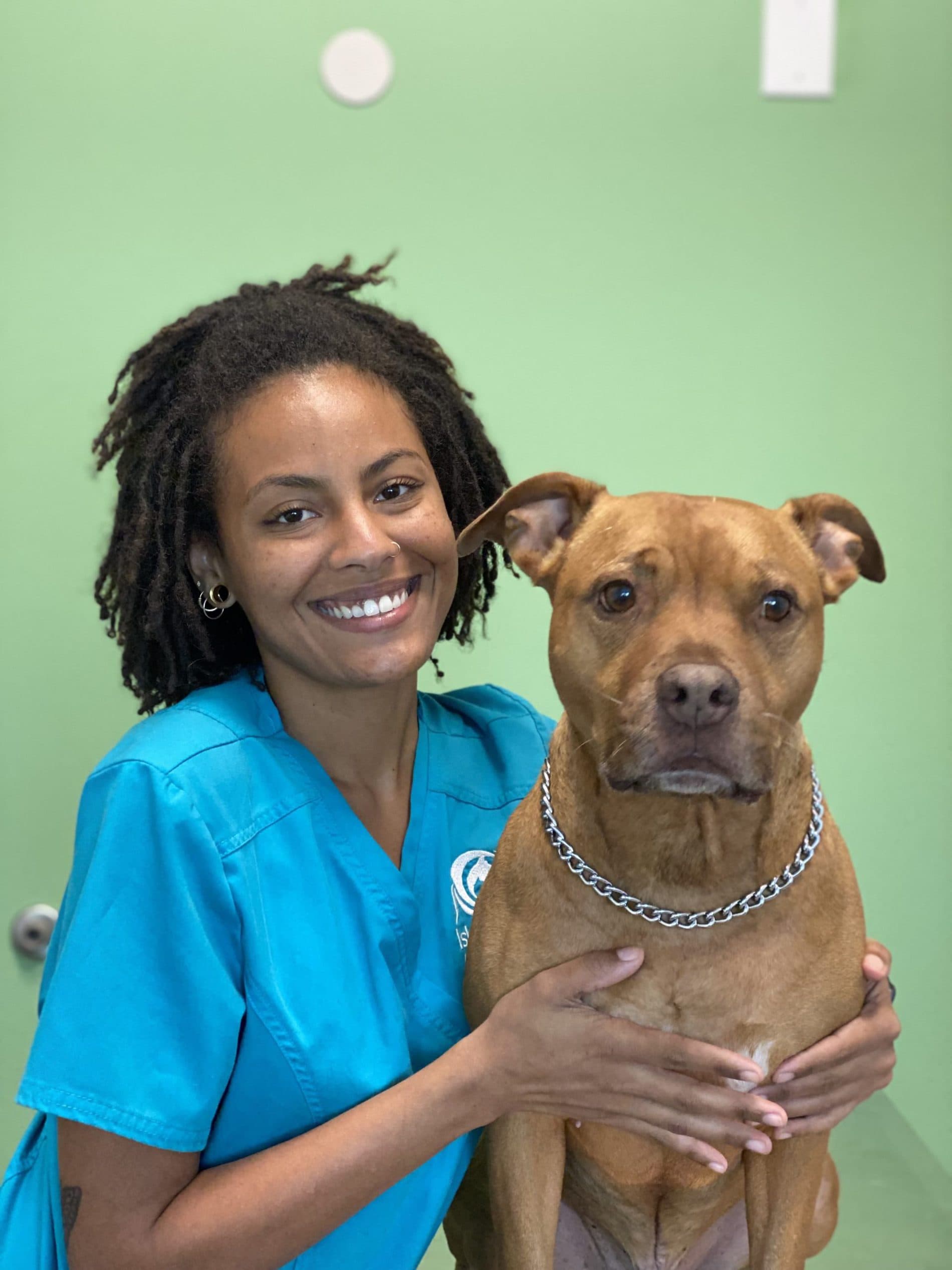 Meet Our Staff Island Life Animal Hospital