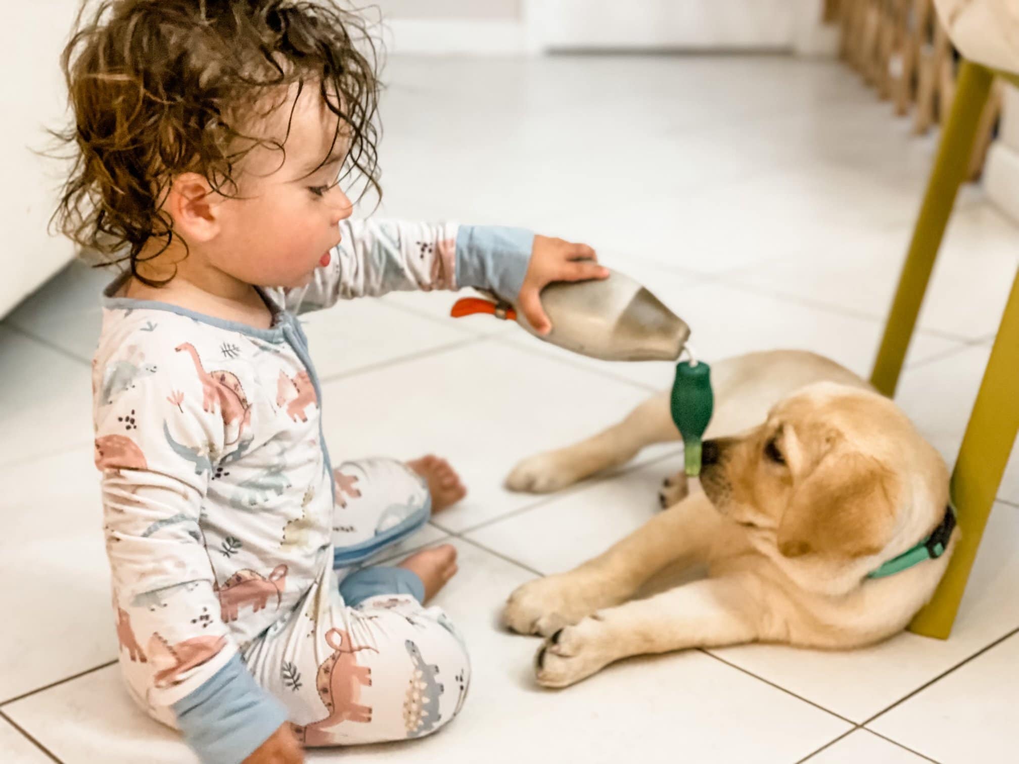 kids, dogs, kids and dogs, babies and dogs, safe play for kids and dogs, island life animal hospital, puppy and kid, baby and puppy